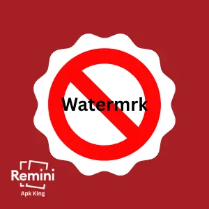 remini no watermark
