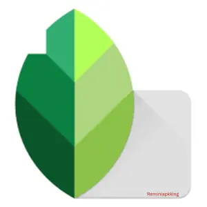 remini pro apk download