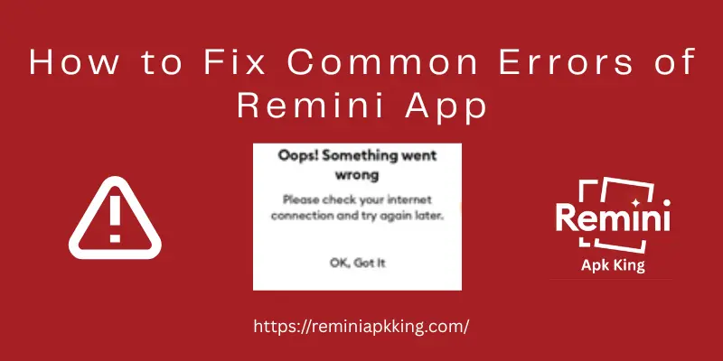 How to Fix Common Errors of Remini App: Easy Steps 6 Error Message Something Went Wrong
