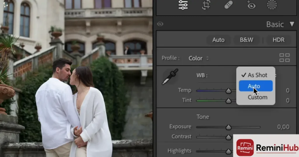 Types of Videos Can Remini Improve